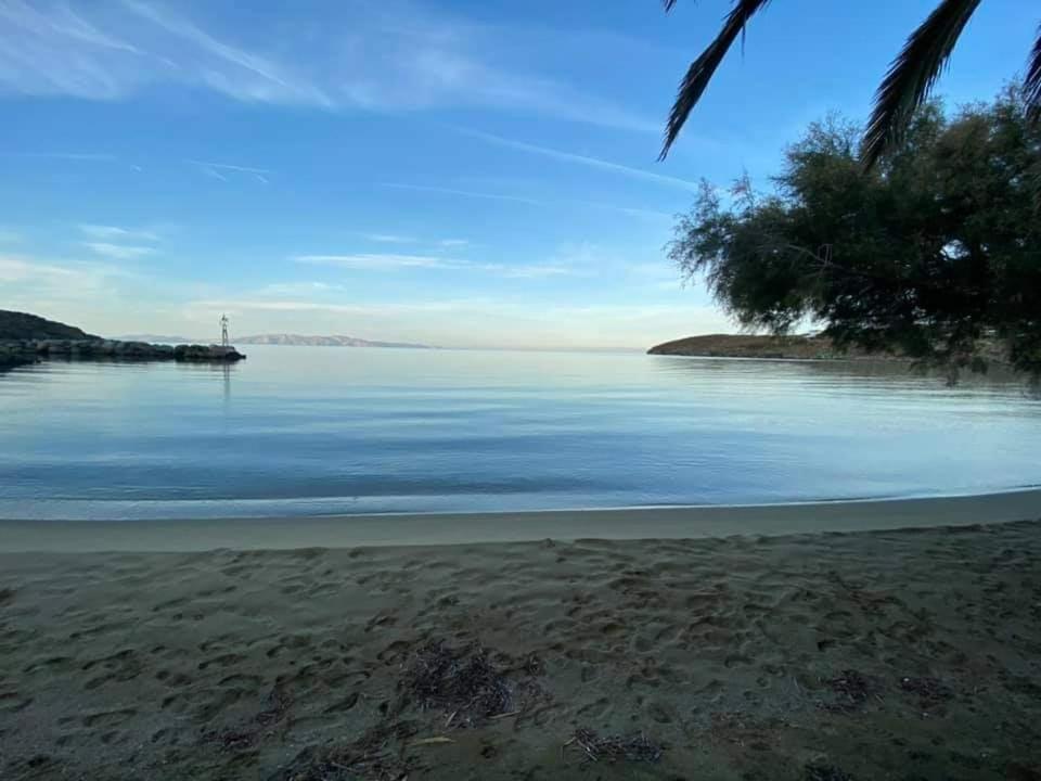 Romanos Summer House Villa Agios Romanos ภายนอก รูปภาพ
